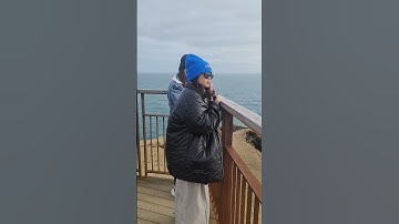 Londrangar Basalt Columns, West Iceland