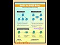 DHCP vs DHCP Relay Explained in 15 Seconds 💥 #ccna #Netlabshub