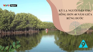 Kỳ lạ người đàn ông hơn 40 năm sống giữa rừng đước