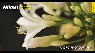 Learn & Explore | Macro Photography