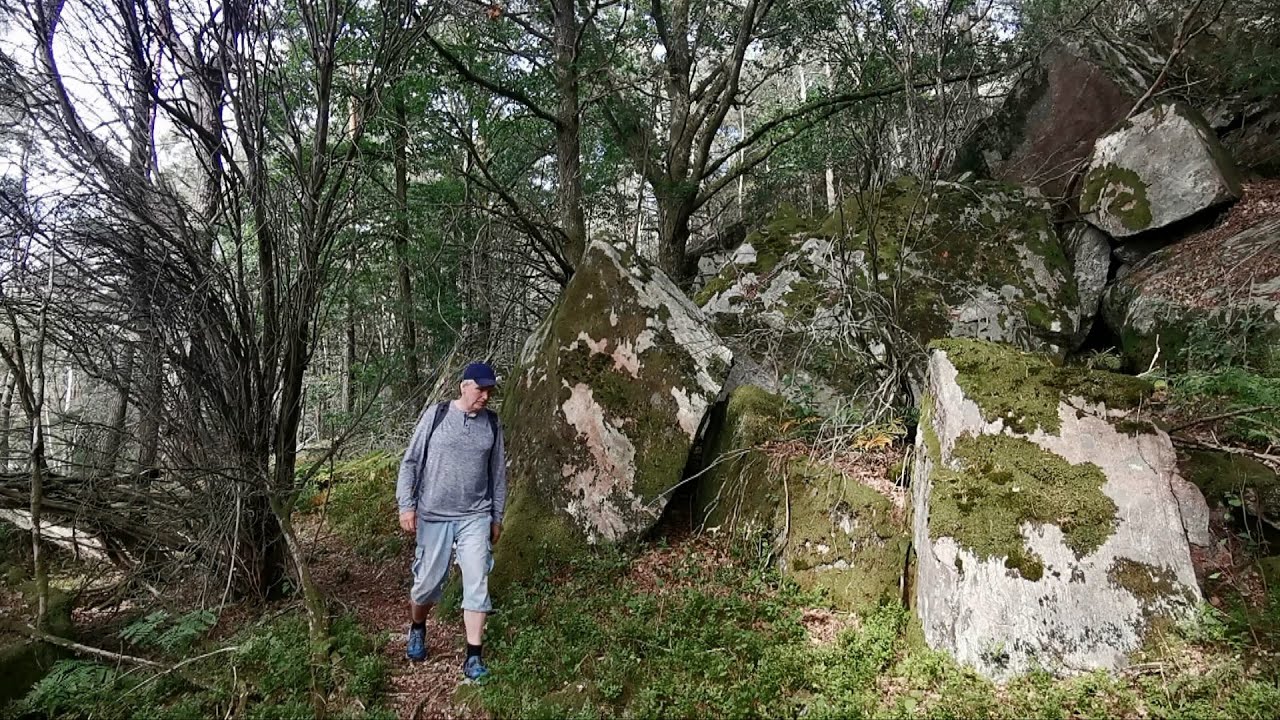 Vandring i Finnsjöns vackra naturområde på härliga skogsstigar.  Härryda kommun