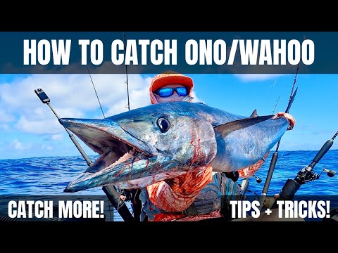 Hawaiian Fish Ono