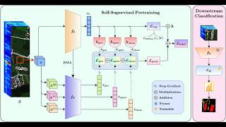 MorphJEPA: Morphology-Aware Latent ​Prediction for Hyperspectral Images​ (ECCV 2026)