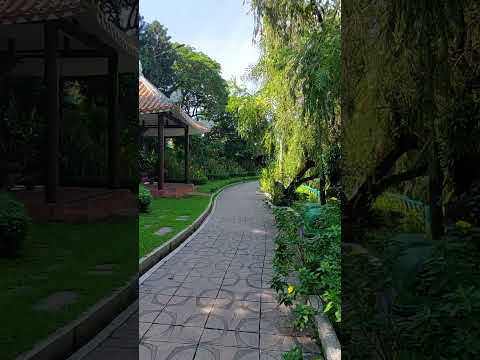 Video vui lắm nha|con đường màu xanh| - youtube