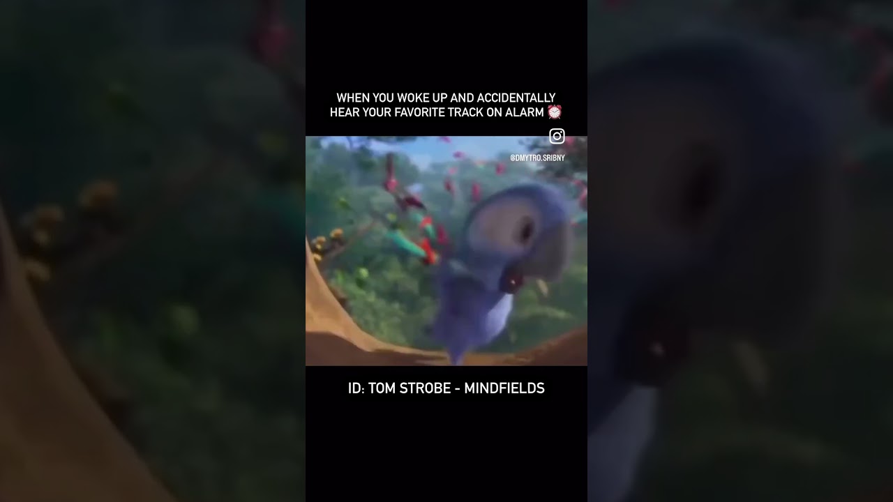 Tom Strobe - Mindfields