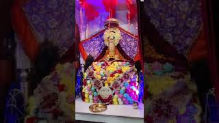 :🌹 Khatu Shyam Sarkar | Haare Ka #SanatanDharma #JaiShyam #KhatuShyamDarshan #ShyamPremi