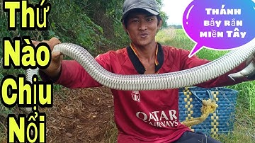 #97. Tớ Công Chuyện Luôn Thánh Bẫy Rắn Một Bao Rắn 🐍 Khủng Sách Không Nổi|| Út lãng tử 2