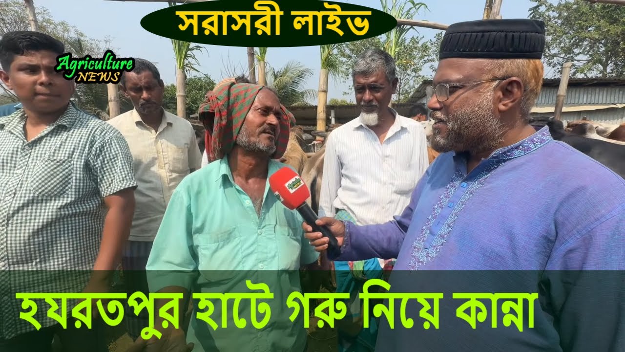 হযরতপুর হাটে গরু নিয়ে কান্না | সরাসরী লাইভ | Agriculture News | Small cow Price