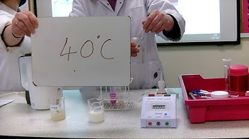 BTEC Unit 3 - Enzyme Lipase