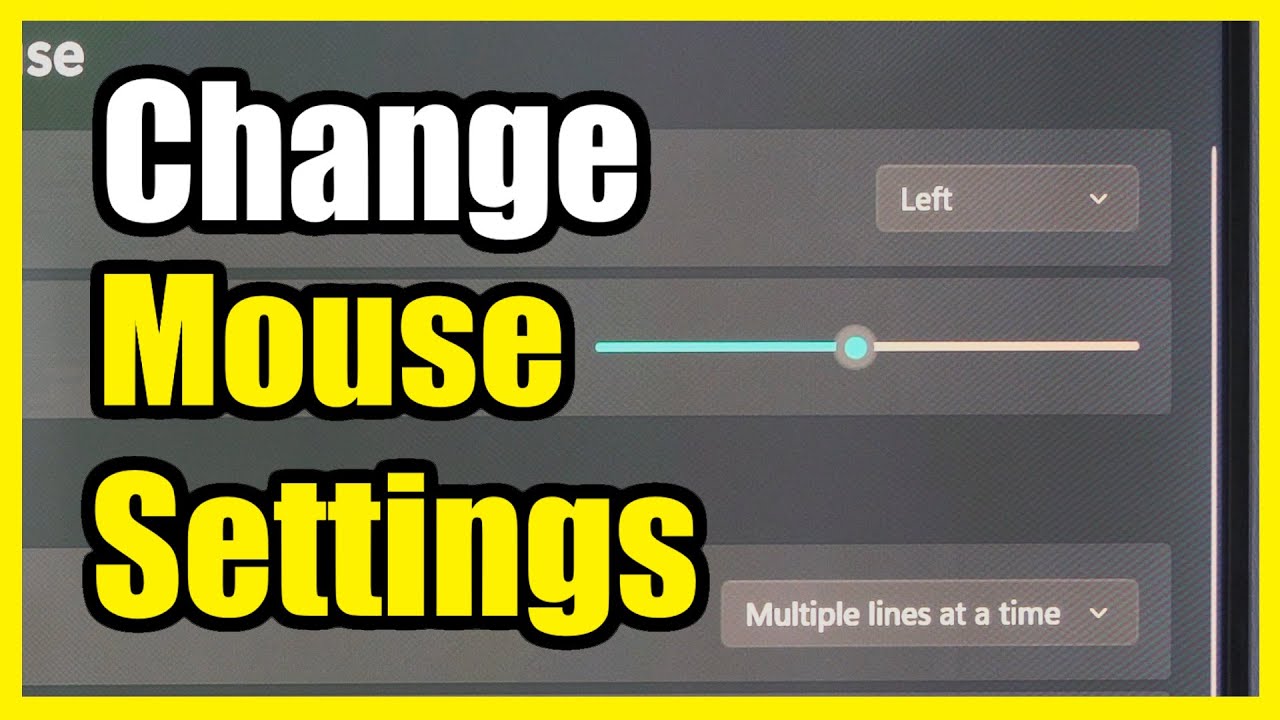 How to Change Mouse Settings, Pointer Speed & Button on Windows 11 PC ...