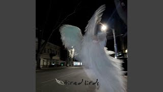 set your heart ablaze - agony IX, sad cats, core.wav, and andre is gone