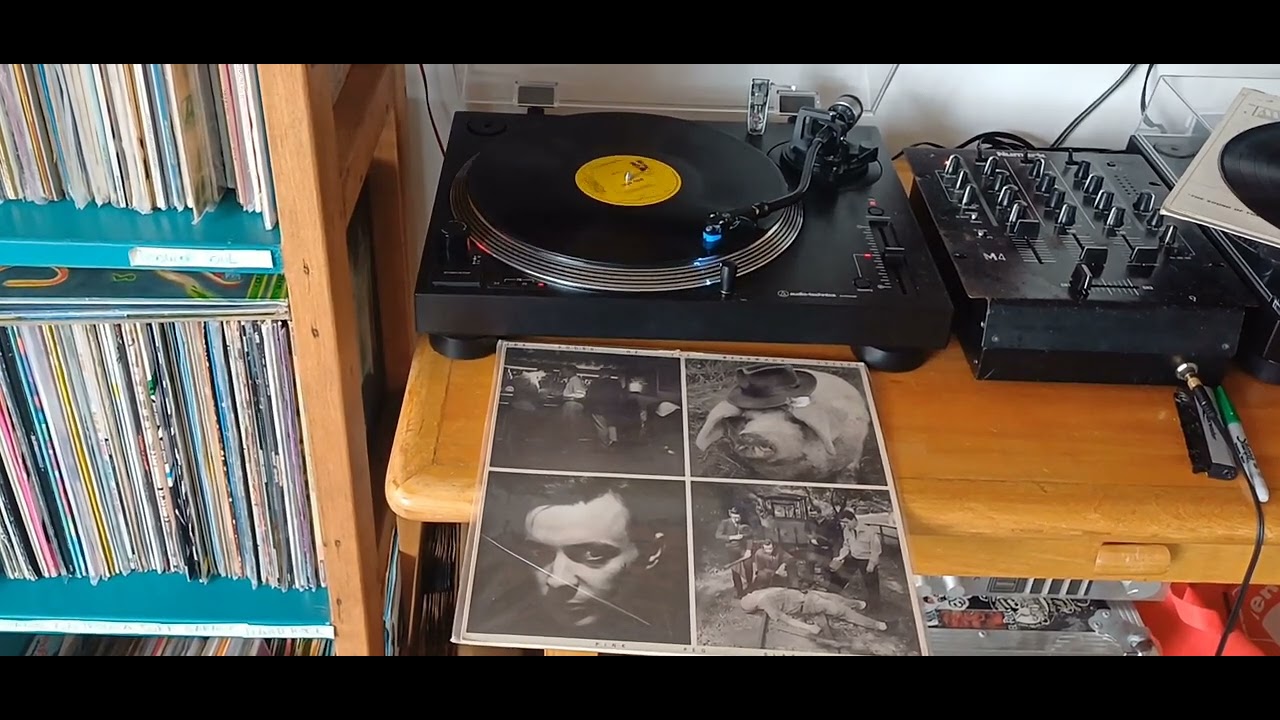 Pink Peg Slax Wally, can you hear me? YouTube