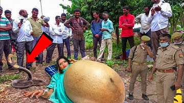 इस गाव मे इच्छाधारी नागिन ने दिया बच्चे को जन्म लेकिन गांववालो ने कर दिया ते गलत काम ! naag nagin