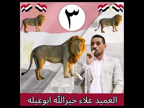 الدائره الرابعه محافظه اسيوط ابوتيج وصدفا والغنايم انتخابات مجلس النواب 2025