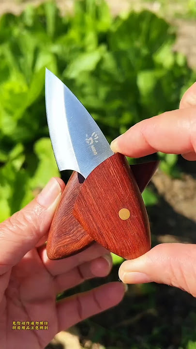 #Fruit Knife#meatknife #Good Knife Recommendation #kitchenknife #knifereview#goodknife #share #video