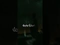 لو اقولك اني قلبي قد نسي حبك تصميم لو اقولك اني قلبي قد نسي حبك تصميم