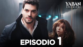 Yaban Çiçekleri - Episodio 1 (Sottotitolato in italiano)
