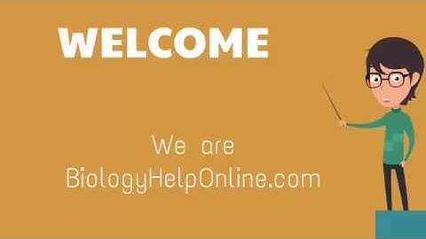 Developmental Biology Biology Assignment Help– BiologyHelpOnline.com