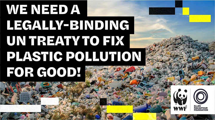 The Ellen MacArthur Foundation & WWF call for UN treaty on plastic pollution