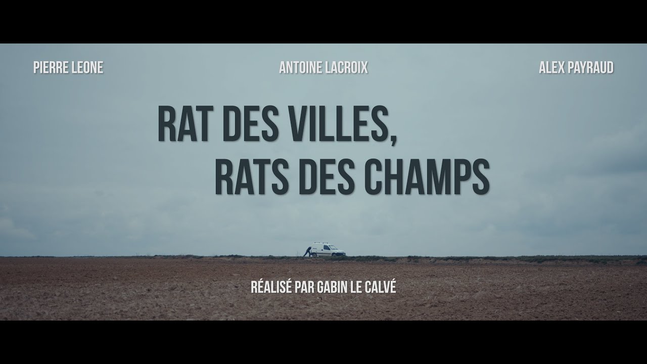 Rat des villes, rats des champs - YouTube
