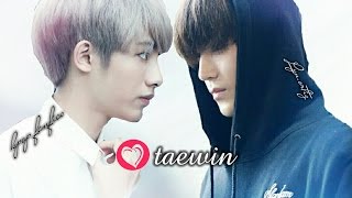 [NCT 127] Taeyong X Winwin |TAEWIN| Moments Pt. 2 #JustShippers ^^