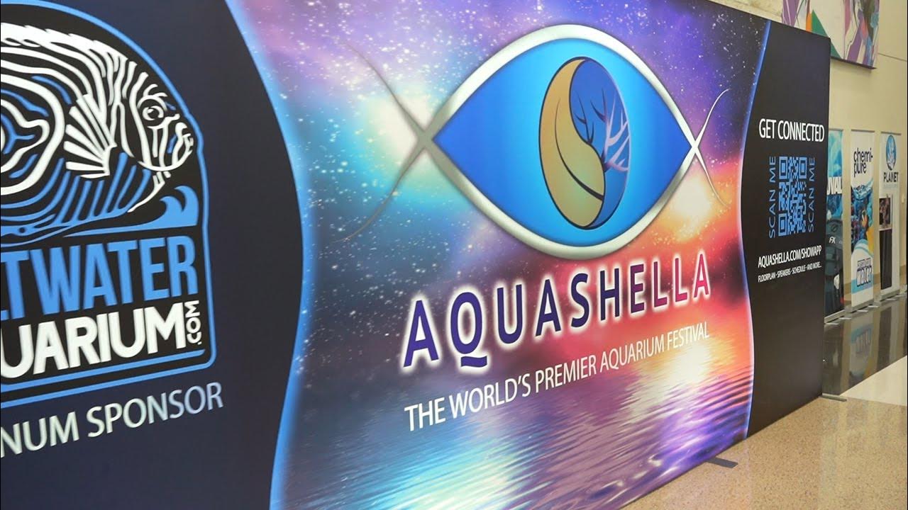 Aquashella Daytona 2023 Highlights YouTube