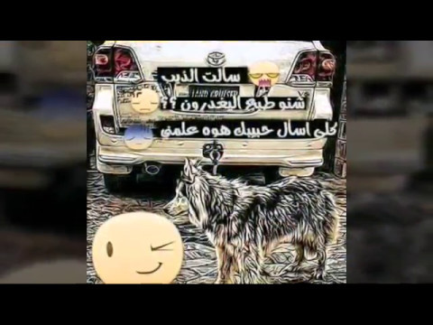 انا والحب قصه غريبه