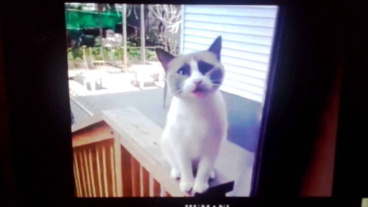 Ouvre Moi Ta Porte Toi Qui A La Cle Youtube