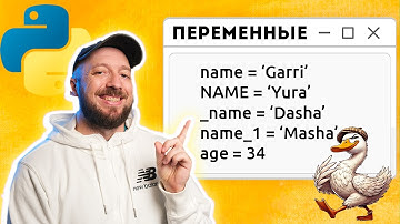 Переменные в Python - Что такое утинная типизация? [Курс Python - Первый шаг 011]