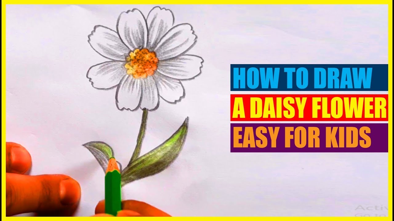 How to draw a daisy flower step by step for kids - YouTube