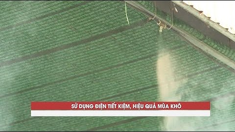 Phóng sự SỬ DỤNG ĐIỆN TIẾT KIỆM, HIỆU QUẢ MÙA NẮNG NÓNG