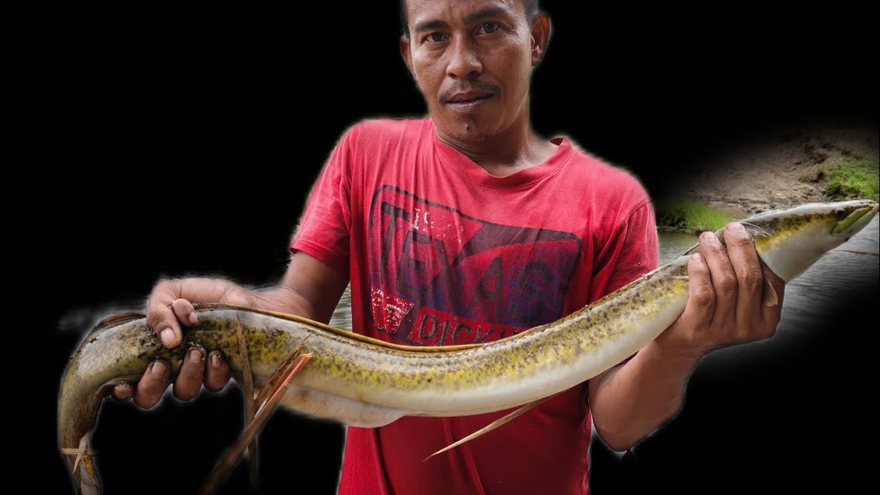 Episode 133 daming huling hito 