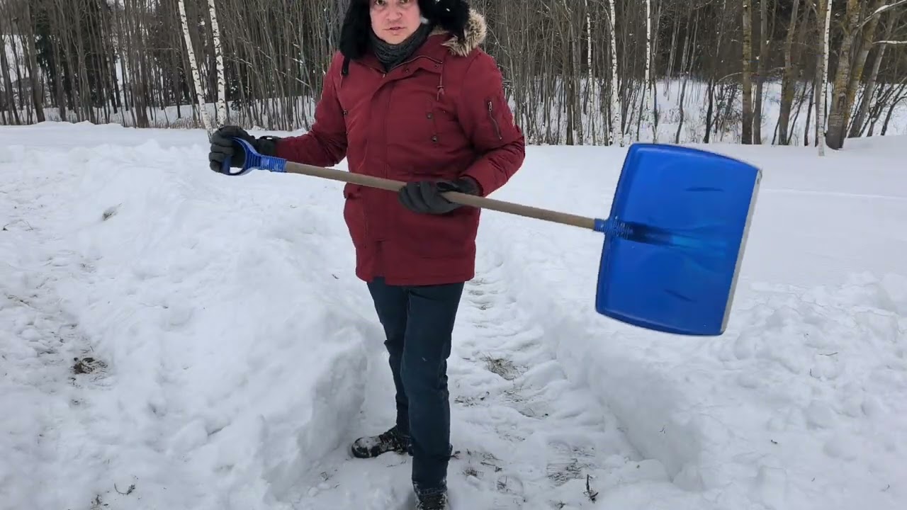 Clearing a Path to My New Studio