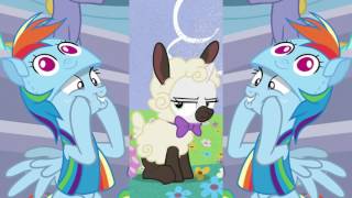 Random | Beep Beep, SB is a Sheep