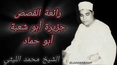 سورة القصص جزيرة أبو شعبة أبو حماد الشيخ محمد الليثي