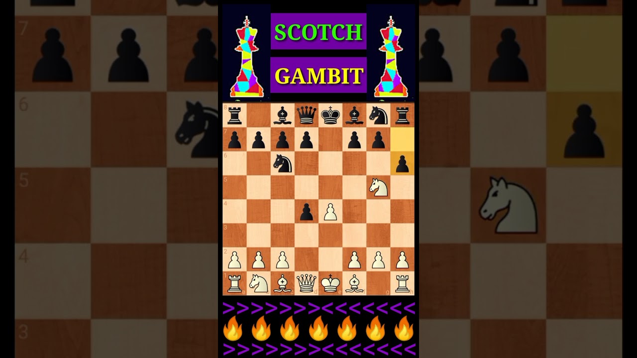 Scotch Gambit Trap. Useful Chess Trick. 