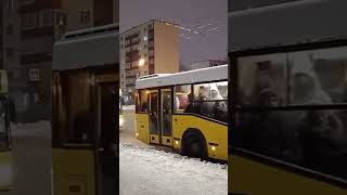 Автобусы Мазы в Ижевске #short #shorts