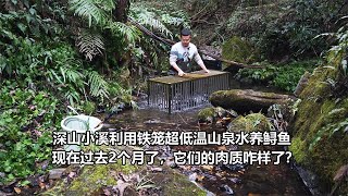 深山小溪利用超低温山泉水铁笼养鲟鱼 2个月后肉质会有啥提升 by 爱野钓的小范 131 views 2 months ago 1 minute, 12 seconds