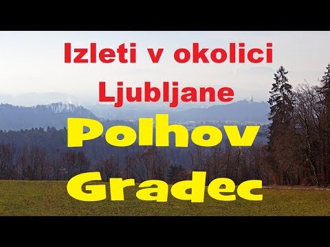 Video: Tajna Izkopavanja Ostankov Kraljeve Družine - Alternativni Pogled