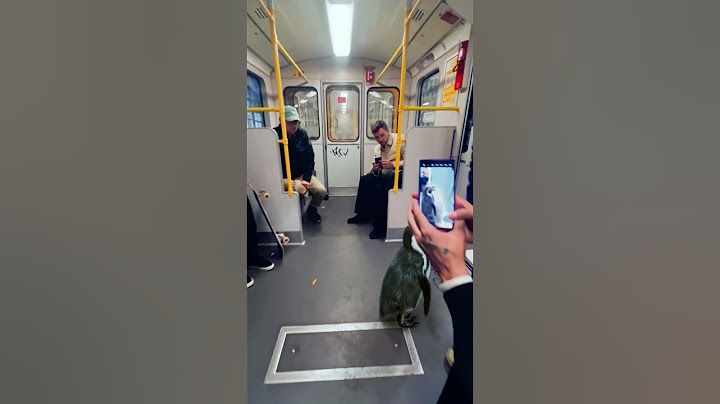 Ganz normale U-Bahn-Fahrt in Berlin? Nicht mit dem Galaxy Tab S10 Ultra und Skizze zu Bild.