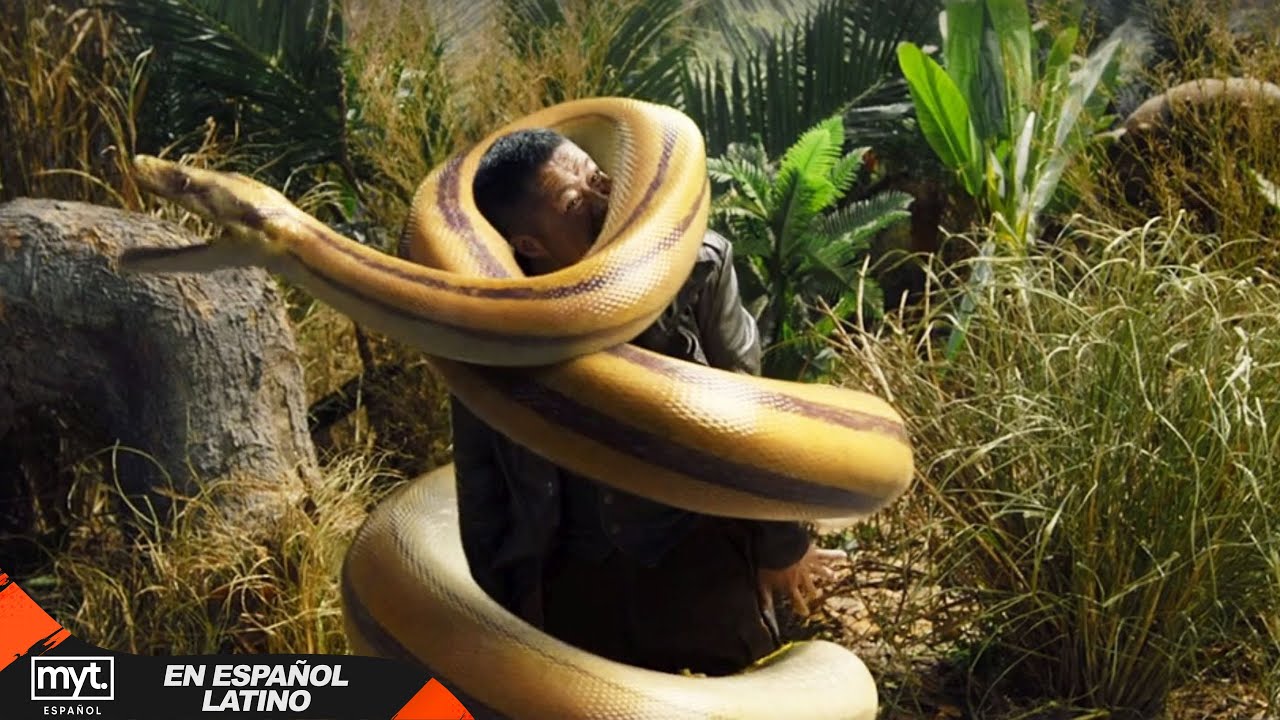 PITÓN EN LA SELVA | PELICULA DE ACCION EN ESPAÑOL LATINO