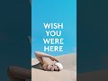 Out Now - Pink Floyd's 50th anniversary edition of their era-defining album Wish You Were Here!