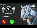 New Message Ringtone 2025 Sms Tone Sms Ringtone Notification Ringtone Massage Ringtone 2025 SMS 