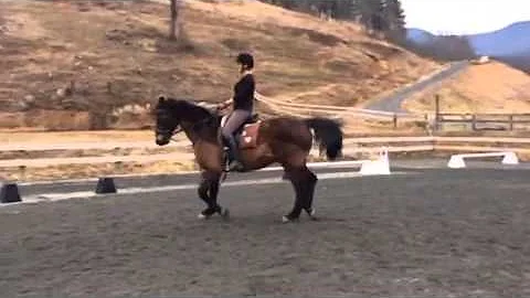Johanna Solomon Feb 7