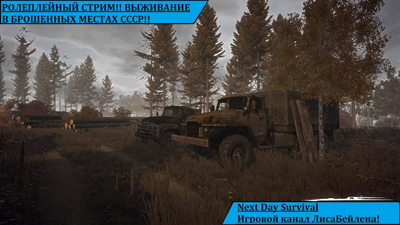 РОЛИПЛЕЙНЫЙ СТРИМ!!! Next Day Survival