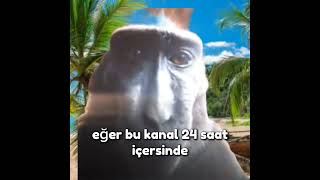 Arklar Yeni Kım Abone Olursanız Sevinirim