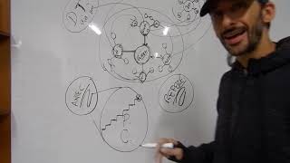 ¿Cómo hacer un mapa conceptual para un proyecto? MÉTODO RIZOMA GALAXIA (Parte 1) ¿Cómo hacer un mapa conceptual para un proyecto? MÉTODO RIZOMA GALAXIA (Parte 1)