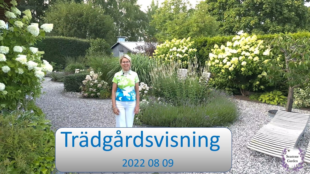 Trädgårdsvisning augusti 2022. Rundtur i min trädgård. Trädgårdsdesign med inspiration. Garden tour.