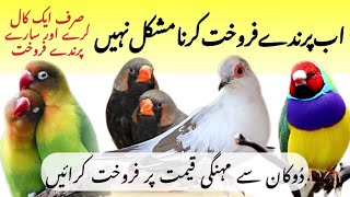 How to Sale birds|| Birds Selling Tips|| Best Platform for Birds Selling|| Birds Breeding Farm screenshot 3