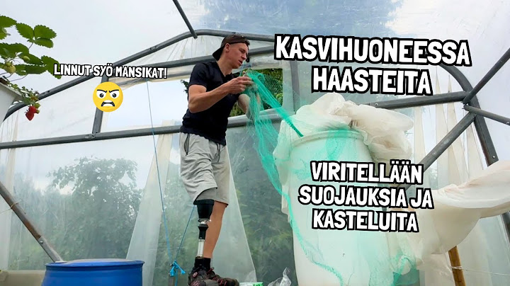 Linnut hyökkäsivät kasvihuoneeseen – Suojaverkot ja kastelut kuntoon!